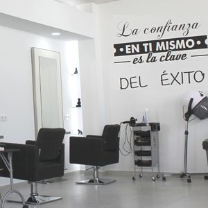 Proyecto de Peluquería + Salón de Belleza